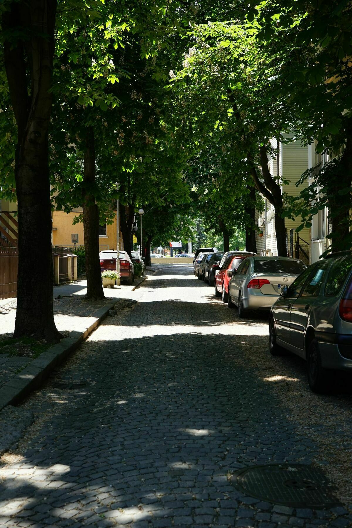 Karina Art Mountain View Apartment Sofia Exterior foto